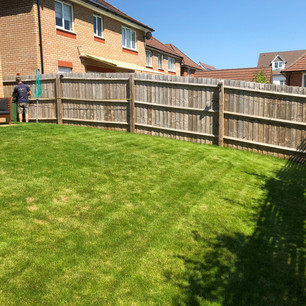 Before, Garden Design, Garden Landscaping, Landscaping, Raised Beds, Pollinator Garden, Sustainable Garden, Patio, Pergola