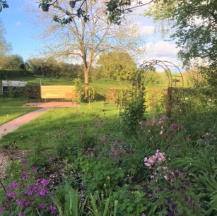 After, Garden Design, Garden Landscaping, Landscaping, Wildflower Meadow, Rewilding, Sustainable Garden, Block Paving