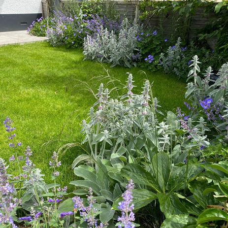 Landscaping Garden Design