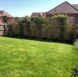 Before, Garden Design, Garden Landscaping, Landscaping, Raised Beds, Pollinator Garden, Sustainable Garden, Patio, Pergola