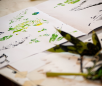 Herbal Craft - Nature Prints