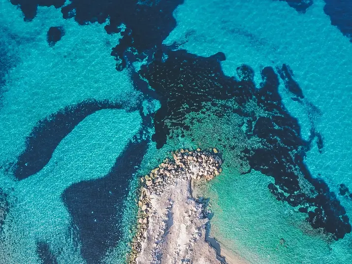 Curso la historia del arte griego.webp