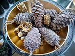 Weihnachten Advent Adventkranz Blumen Gunskirchen Dekoration Wildblüte