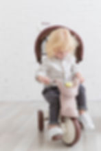Miniatura: Iimo 3-In-1 Foldable Tricycle With Canopy