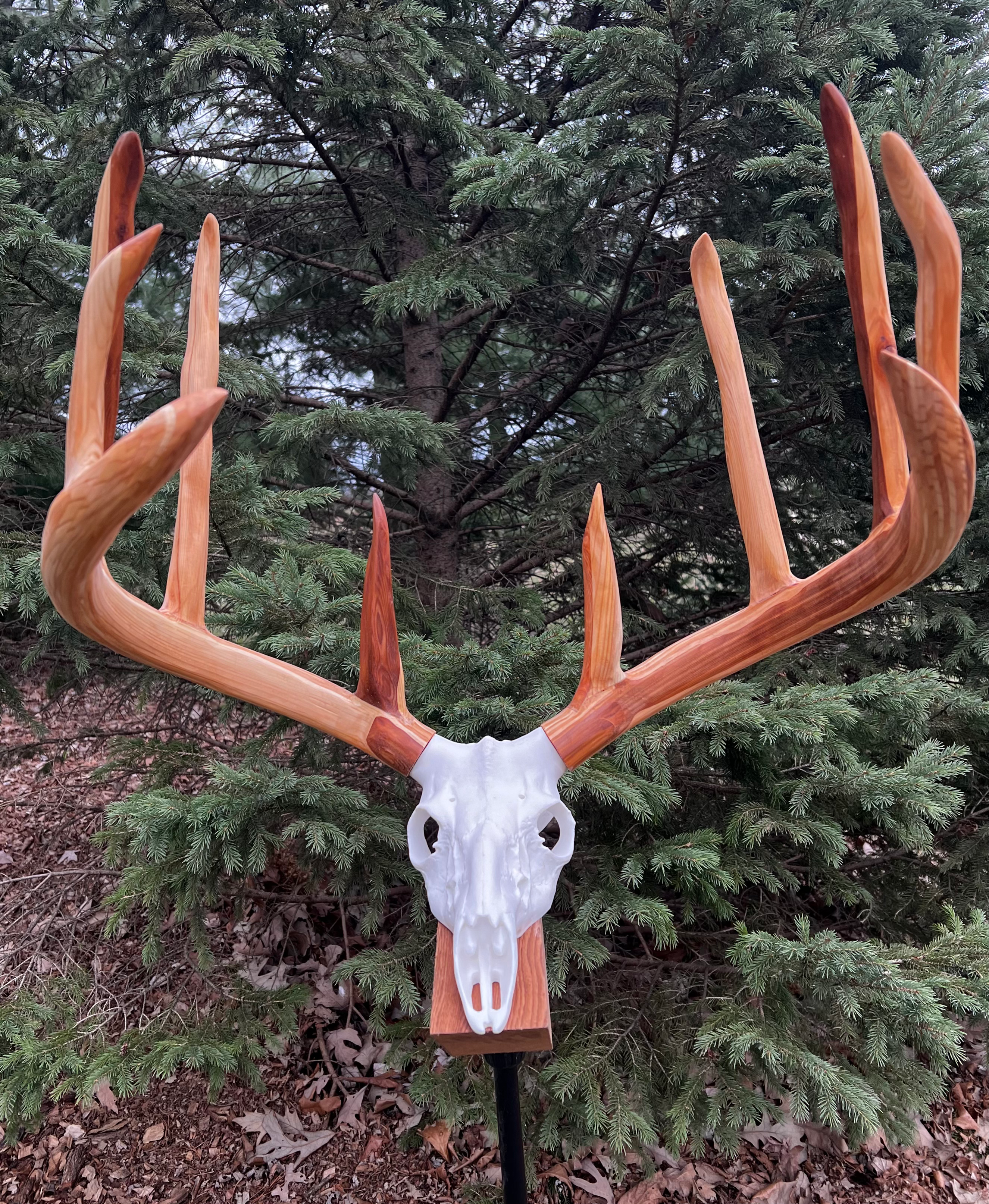 Natural Cedar 10 point