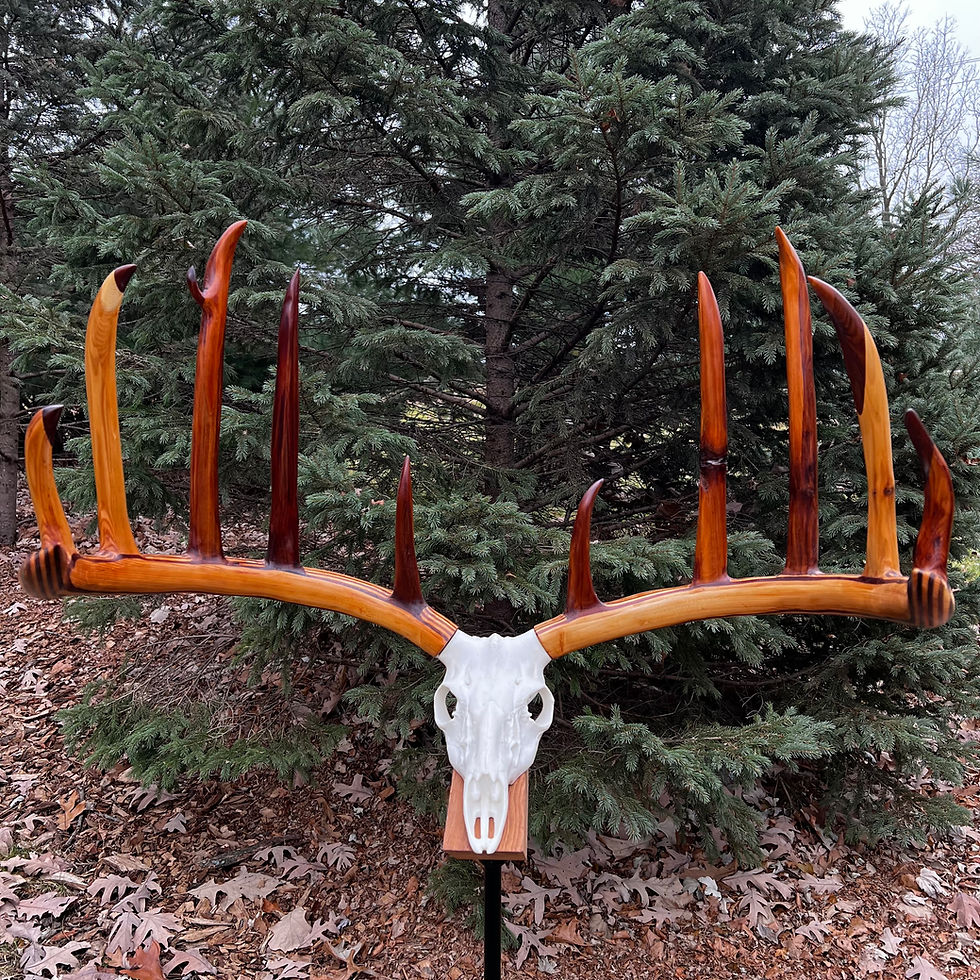Cedar Crown King Legend