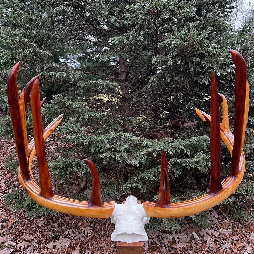 Cedar Crown King Legend