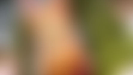 Tokyo Must Eat! (Updated 2023)