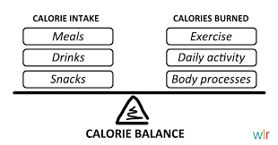 Why I Feel Exercise Is More Important Than What You Eat