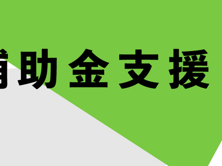 補助金支援の事例