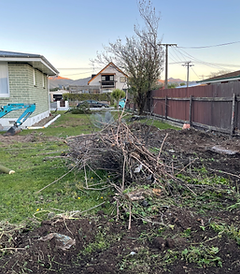 Green waste tidy in Hoon Hay