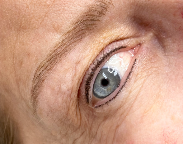permanent makeup eyeliner