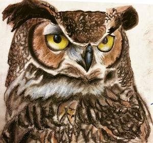 Drawings