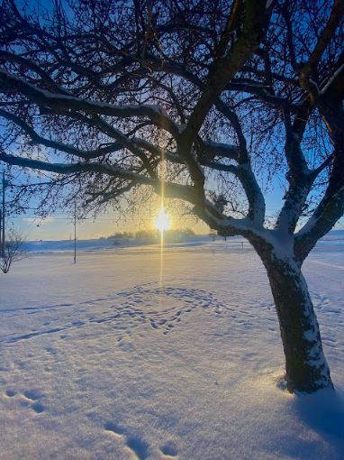 Winterinbrockport