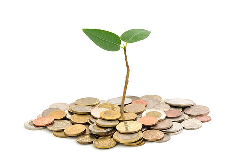 empresa planta.jpg