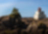 Tofino-4.JPG