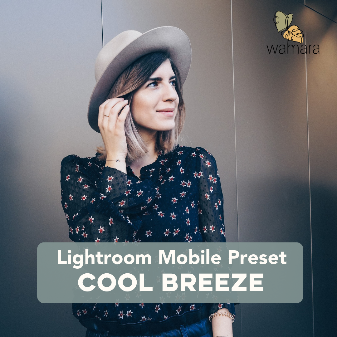 Lightroom Mobile Preset - Cool Breeze