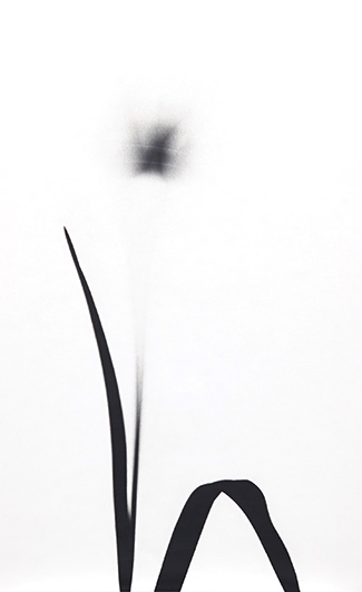 Ruoff_180319_034_web 3.jpg