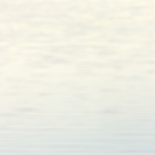 Ruoff_Vo_Web_01 5.jpg