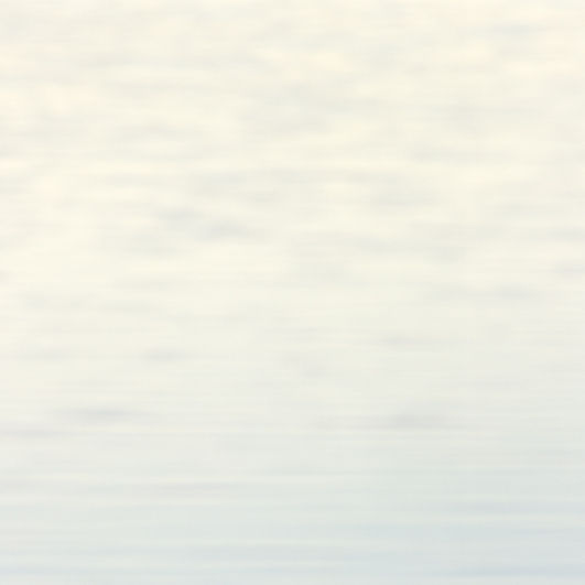 Ruoff_Vo_Web_01 5.jpg