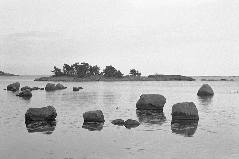 ks_49_18_web 800b 3.jpg