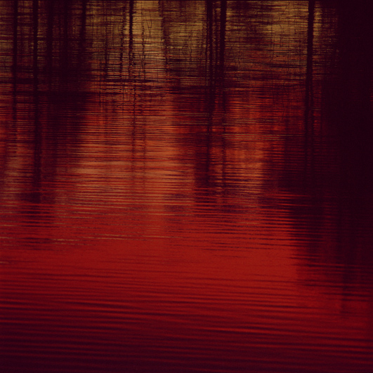 Ruoff_La_Web_06 5.jpg