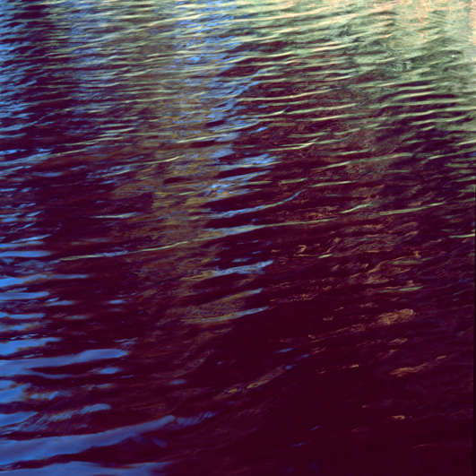 Ruoff_We_Web_10 5.jpg