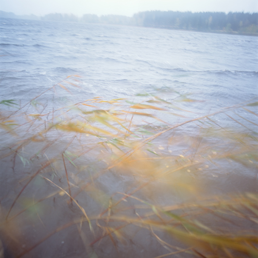 Ruoff_La_Web_03 5.jpg