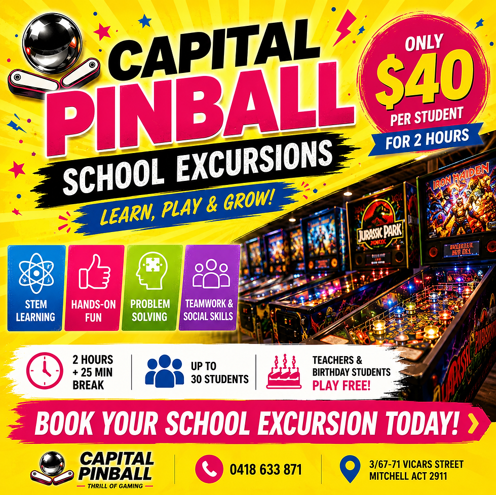 schoolexcursioncapitalpinball15thjuly26.png