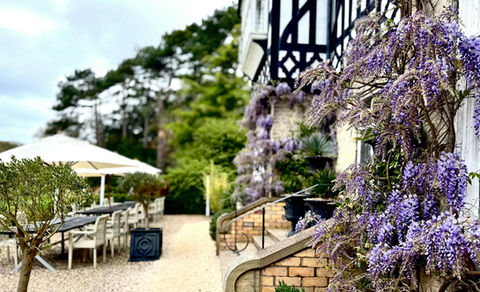 Terrace at Highfield