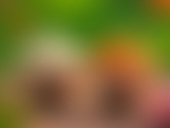 Basmati vs Sona Masoori Rice | Which Grain Is Better?