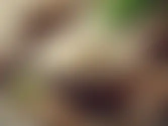 Does Basmati Rice Have Gluten? Noble Mills Guide