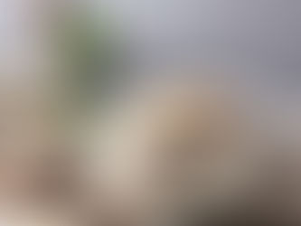 How to Cook Jasmine Brown Rice?