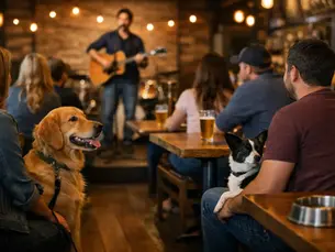 What Makes an Open Mic Dog Friendly Bar Work