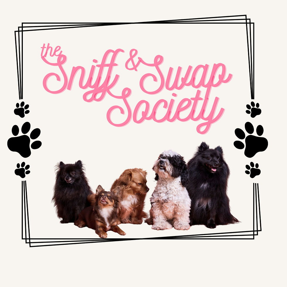 The Sniff and Swap Society