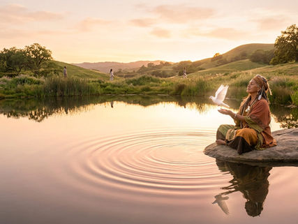 An ancestral woman of culture in traditional Earth-toned clothing seated cross-legged on a smooth stone by a glassy reflection pool at dawn, gently releasing a white dove as soft golden-pink ripples radiate across the water.