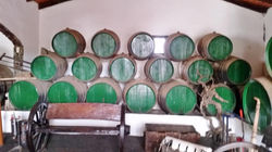 Lanzarote 12042016 (40)