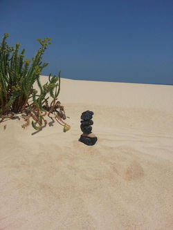 fuerte mai 2014 (56).JPG