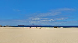 Fuerteventura abril 2016 (19)