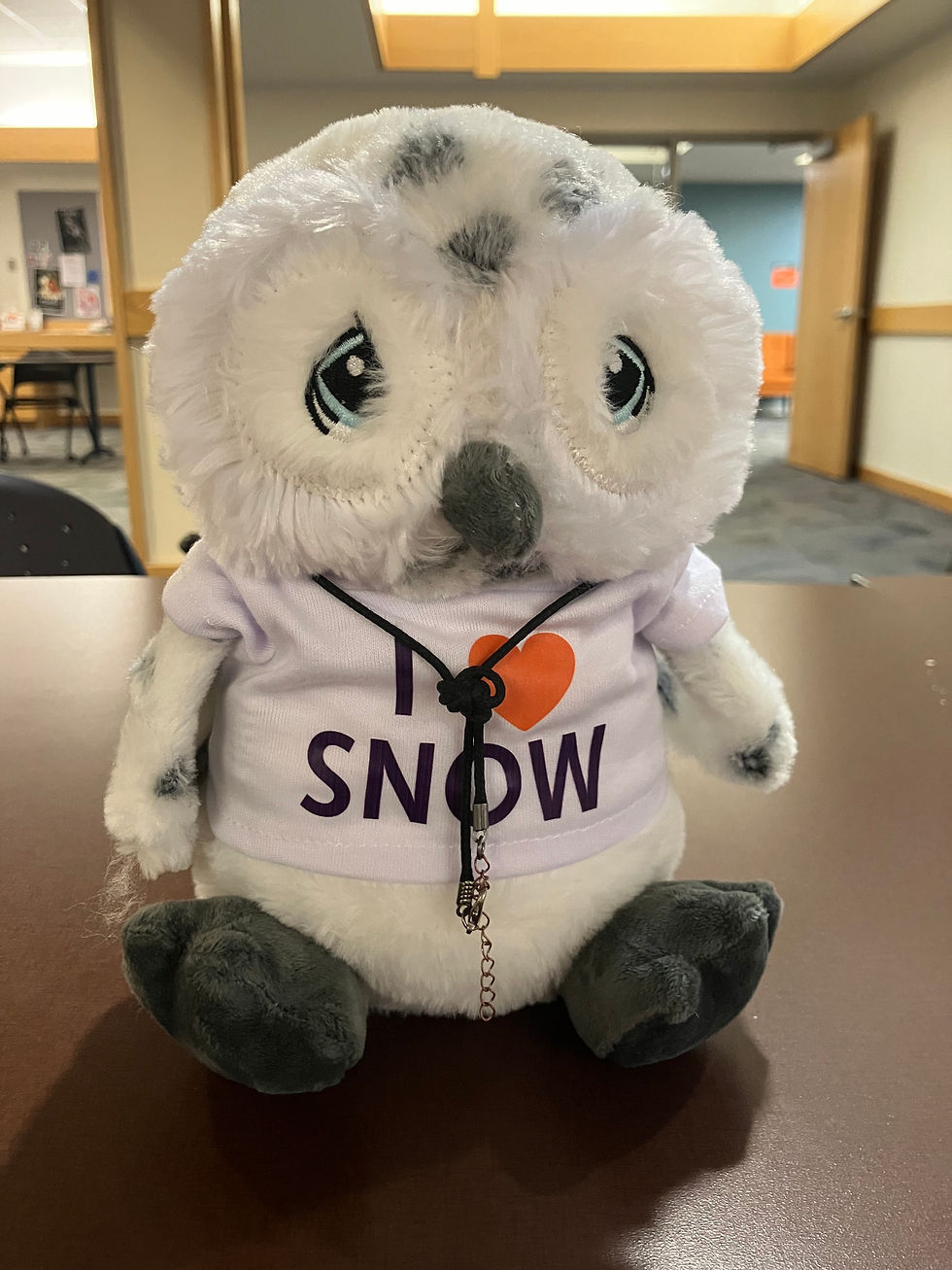 Gratitude Post #4- Stuffed Animals