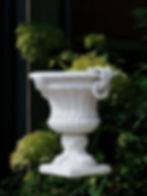 White urn planter with green foliage plants