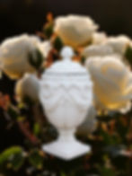 Ornate white urn surrounded by white roses