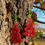 Thumbnail: Festive Earrings - christmas tree
