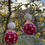 Thumbnail: Christmas Earrings - Embroidered Felted Wool Balls Earrings