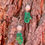 Thumbnail: Festive earrings - tiny green gloves