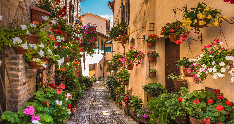 A picturesque alleyway in Positano is adorned with vibrant hanging flowers and lush potted plants, basking under a bright, sunny sky.