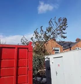 stormdamage_JPG.webp