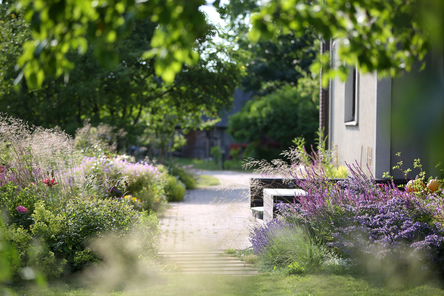 galantus dārzu izveide dizains