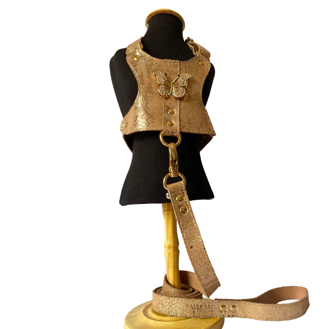 CONJUNTO PEITORAL BORBOLETA GOLD + GUIA