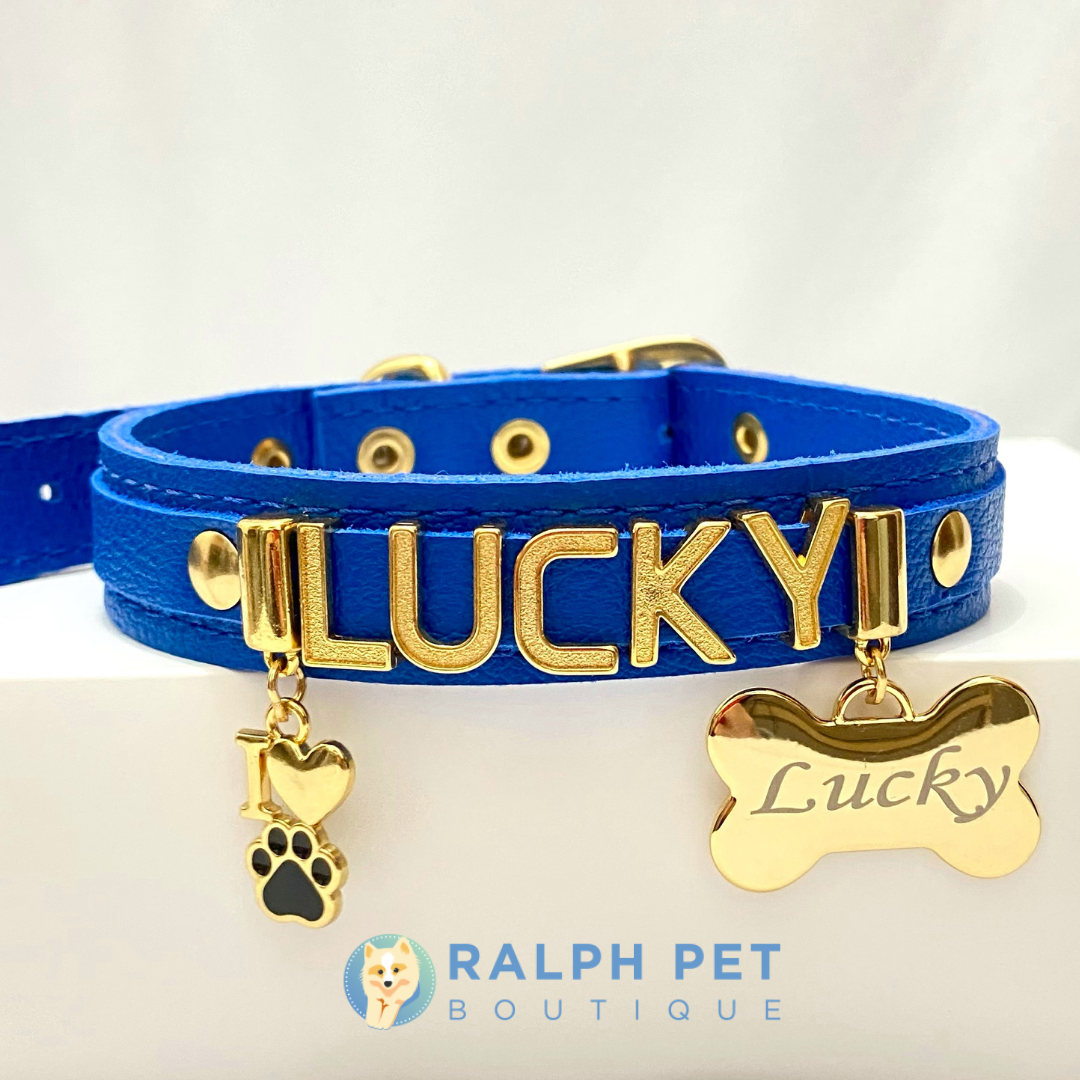 Coleira personalizada em couro legítimo Azul Royal